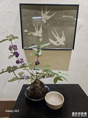 【難忘2024】離圣誕節(jié)還有3天