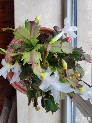 【難忘2024】+我的2024難忘瞬間