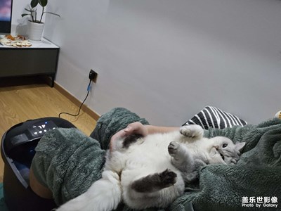 【難忘2024】+難忘瞬間