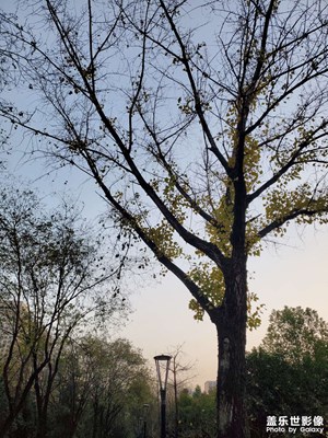 【難忘2024】冬至