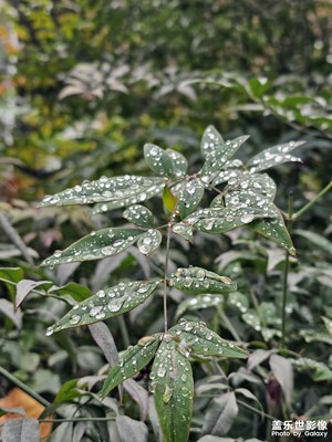 【難忘2024】+難忘瞬間