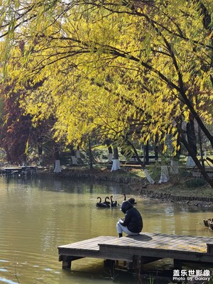 【難忘2024】美好時光