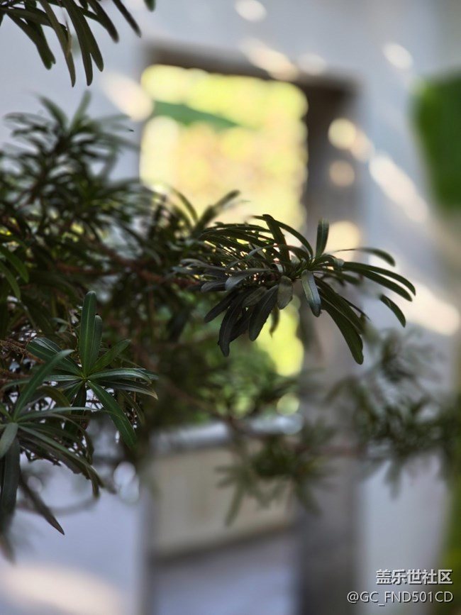 #冬暖熙熙作午晴——公園散步