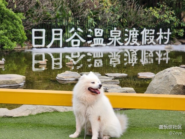 12月15日OFF WORK溫泉里線下攝影活動