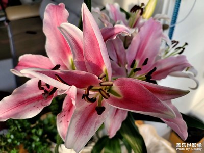 【難忘2024】+難忘瞬間