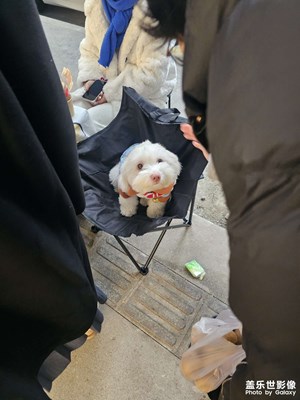 【難忘2024】+難忘瞬間