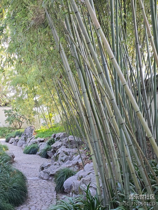 #冬暖熙熙作午晴——公園散步