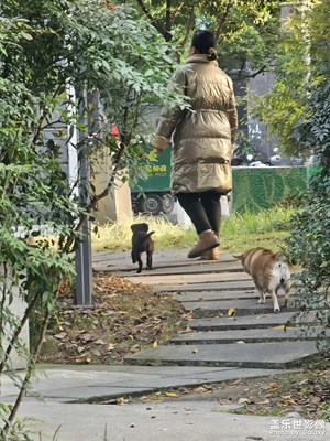 【難忘2024】難忘瞬間