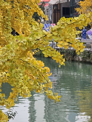 【難忘2024】深秋最后的映像