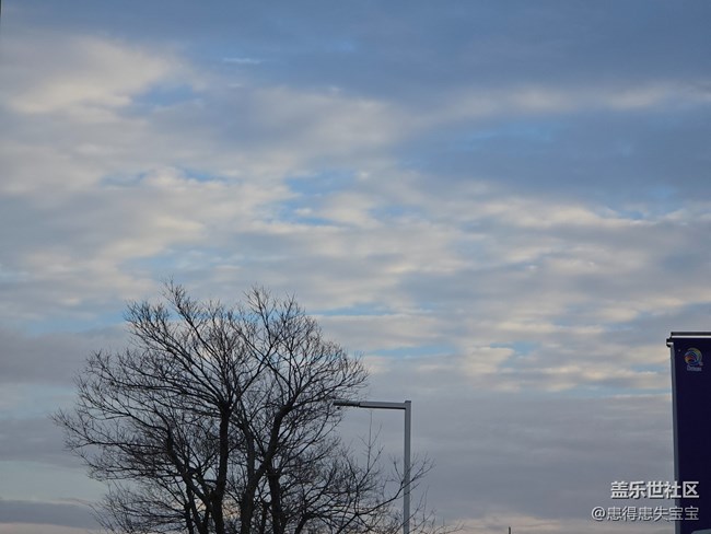#冬暖熙熙作午晴——仰望天空