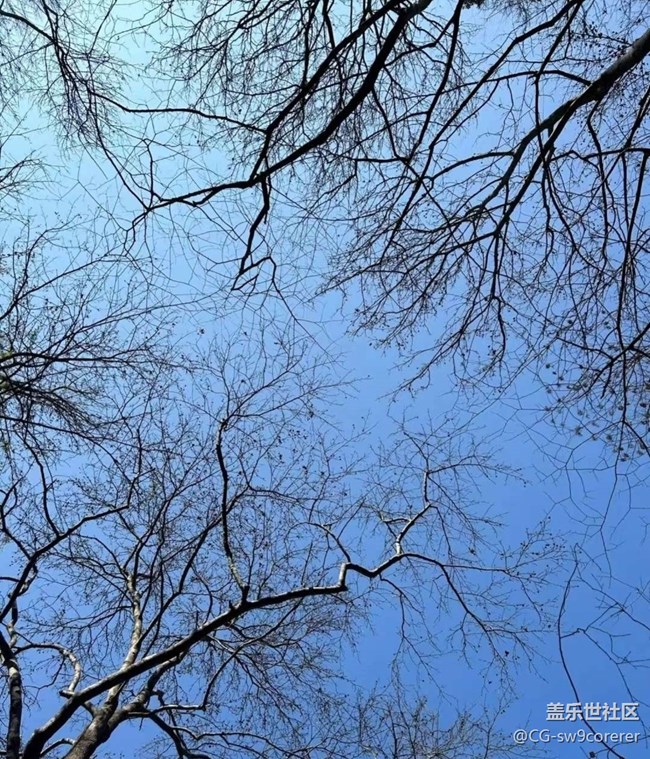 【初冬之美】冬天的山