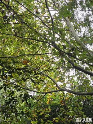 【難忘2024】+最后的冬天