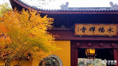 【難忘2024】+歲末杭州靈隱寺祈福 永福寺賞景