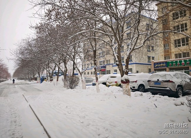 【歲末記憶】年末的一場雪