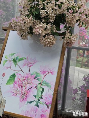 【難忘2024】+美好回憶