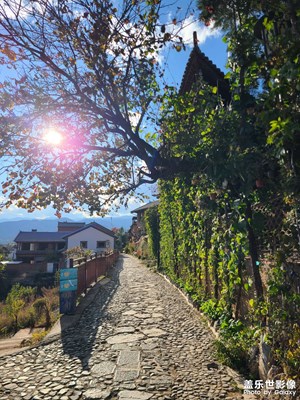 手機(jī)里的風(fēng)景照