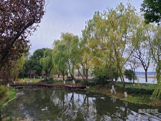 【2024再見】+美好回憶