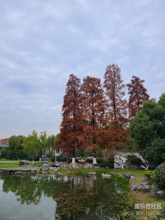 #冬暖熙熙作午晴—— 午后散步