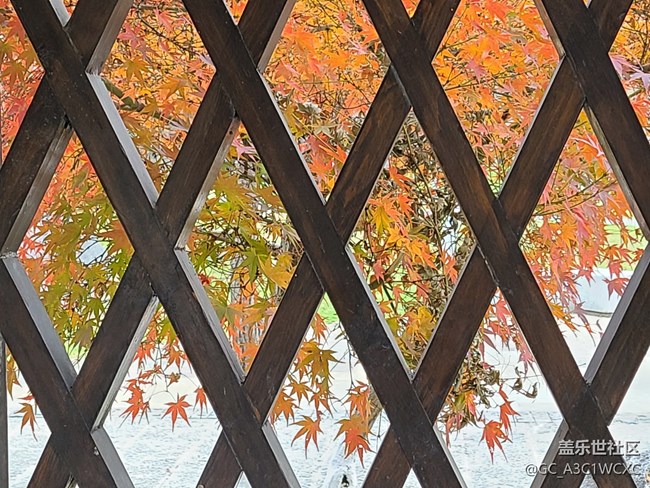 【歲末記憶】歲末之旅