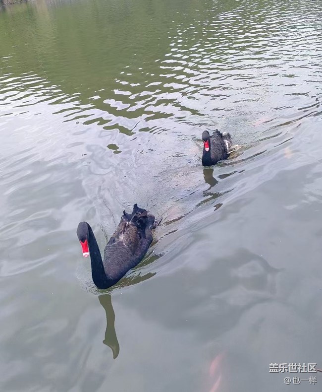 【2024再見】單身狗