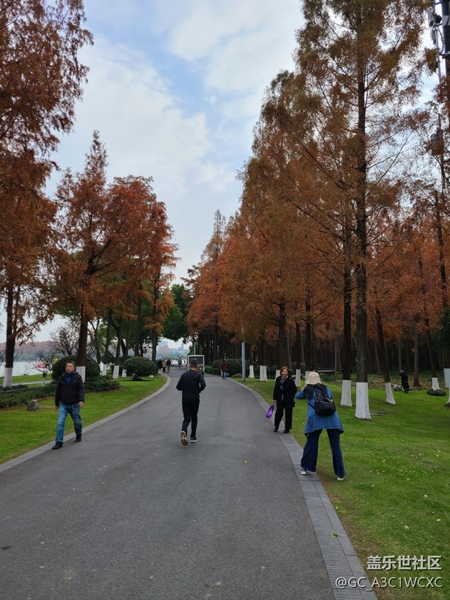 【2024再見】+美好回憶