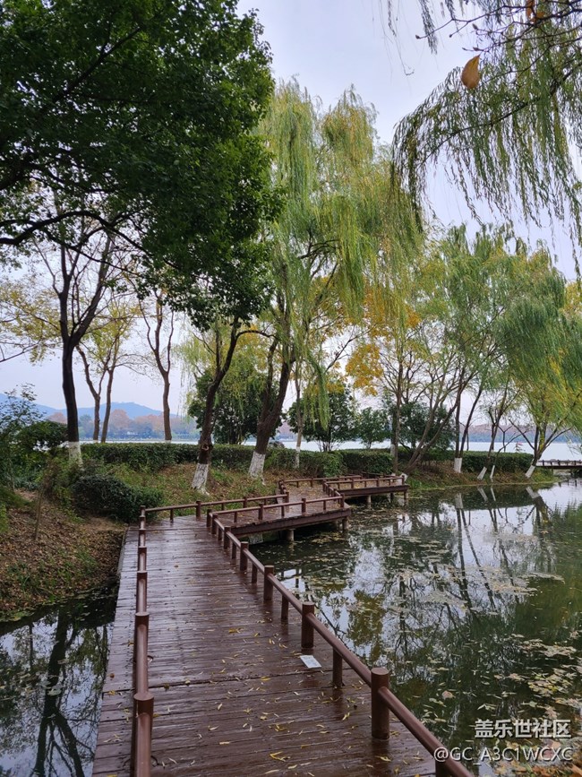 【2024再見】+美好回憶