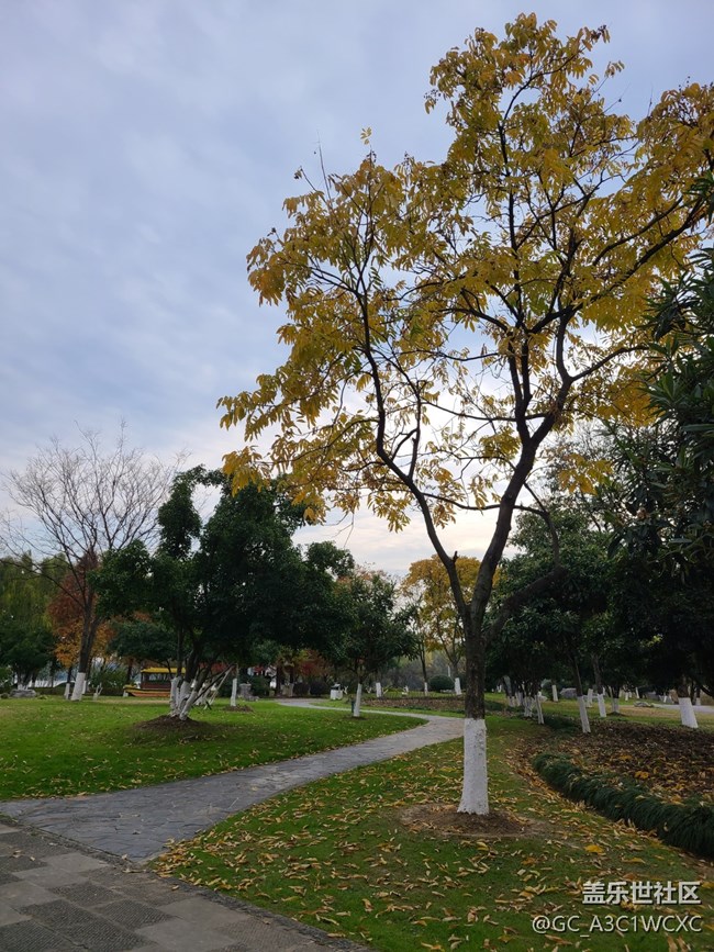 【歲末記憶】歲末之旅