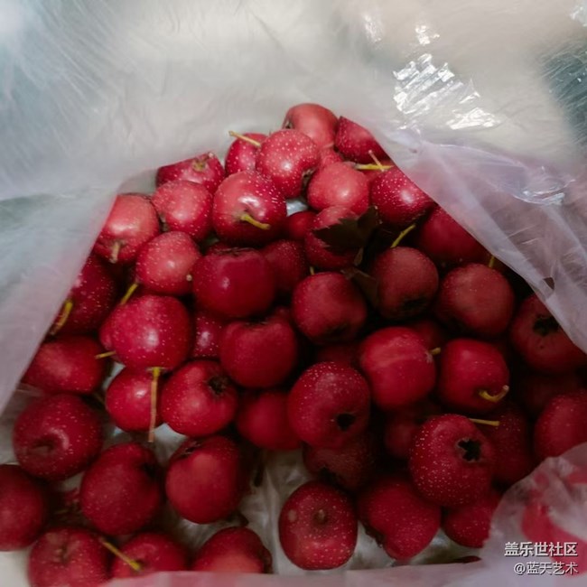 【吃下這碗人間煙火】一日三餐