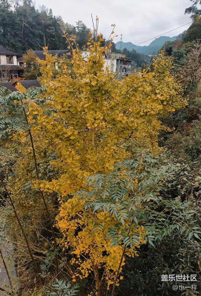 【2024再見】單身狗