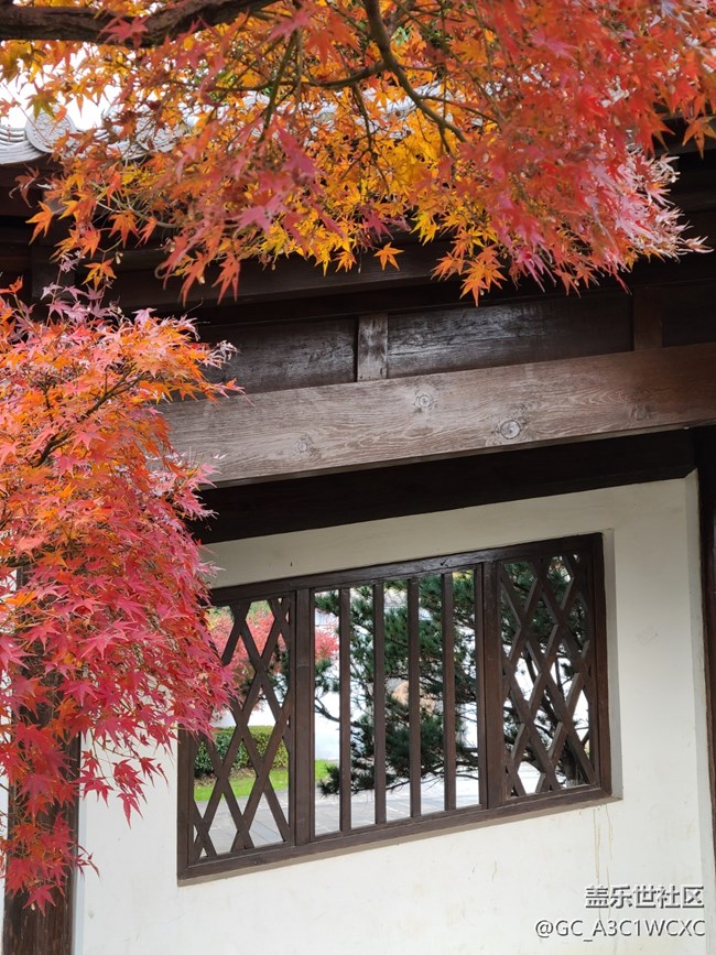 【歲末記憶】歲末之旅