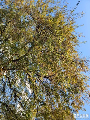 【喜迎雙節(jié)】2024要結(jié)束了