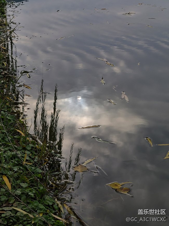 #冬暖熙熙作午晴—— 午后散步