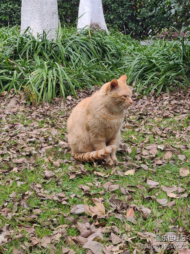 【2024再見】+美好回憶