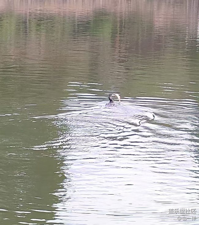 【2024再見】單身狗