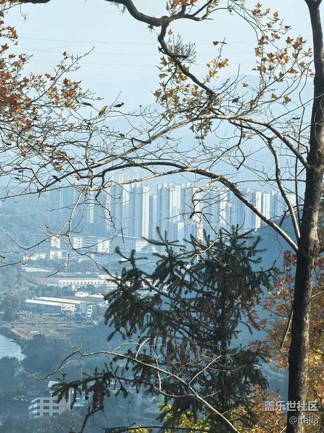 【Galaxy影像】#時光你慢些走+楓景