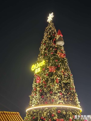 【喜迎雙節(jié)】+ 圣誕快樂