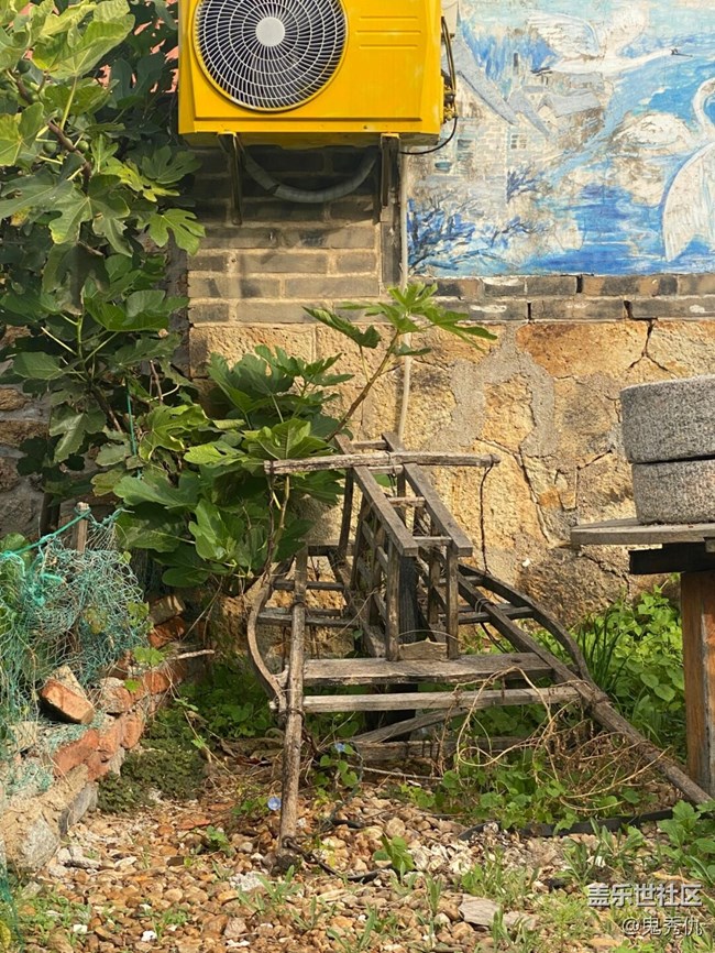 【關(guān)于蜀地的冬】野花