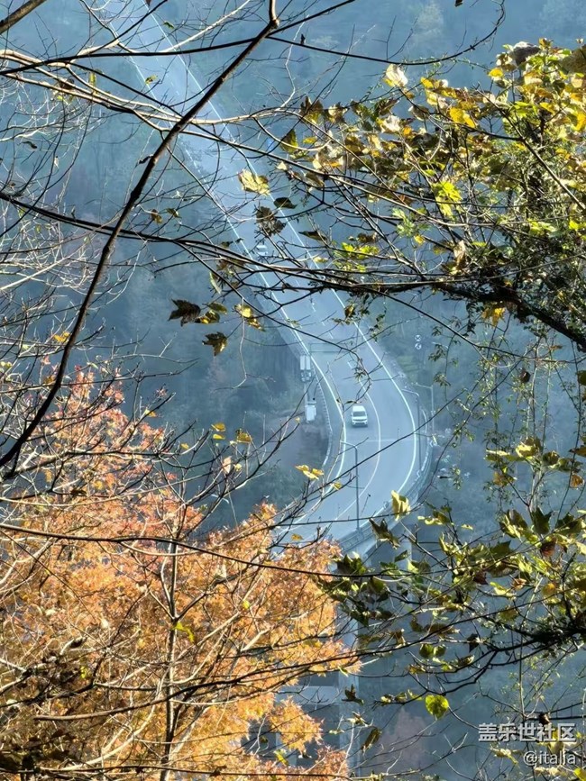 【Galaxy影像】#時光你慢些走+楓景