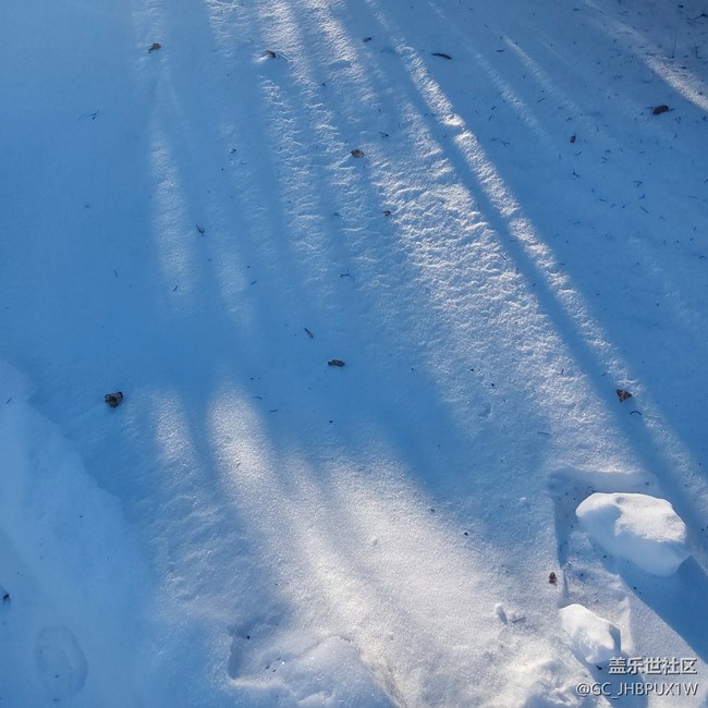 【瑞雪紛飛】白雪