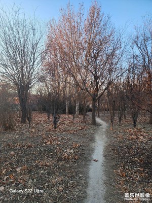 喜迎雙節(jié) 節(jié)后的寒冬