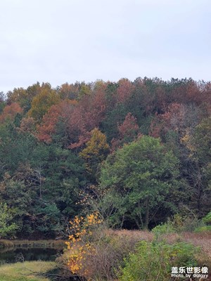 【喜迎雙節(jié)】+山景