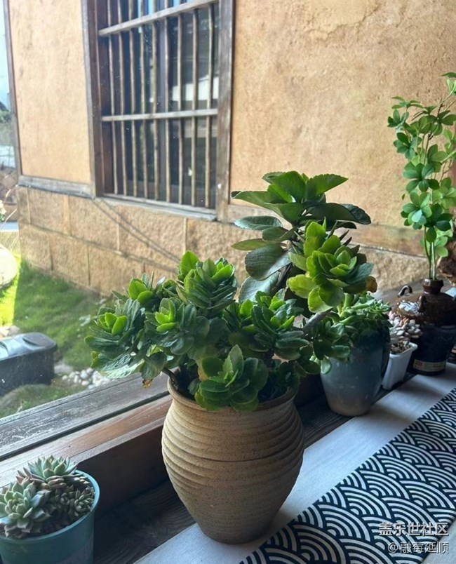 【初冬之美】養(yǎng)眼