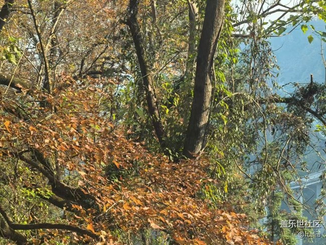 【Galaxy影像】#時光你慢些走+楓景