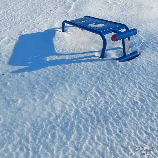 【瑞雪紛飛】白雪