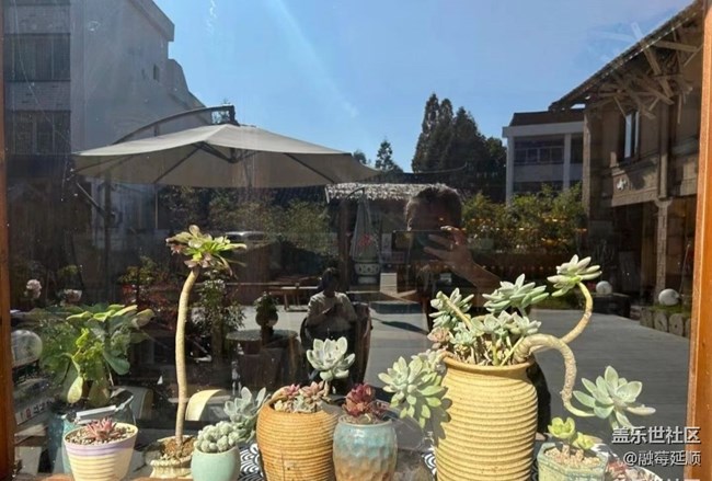 【初冬之美】養(yǎng)眼