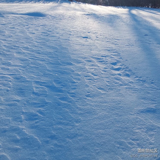 【瑞雪紛飛】白雪