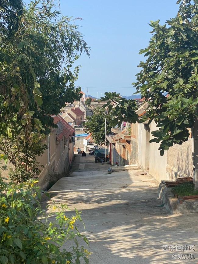 #冬暖熙熙作午晴——享受藍天