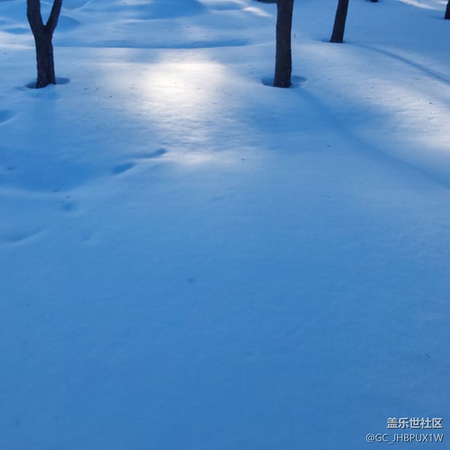 【瑞雪紛飛】白雪