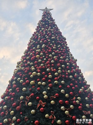 【喜迎雙節(jié)】尋找圣誕元素