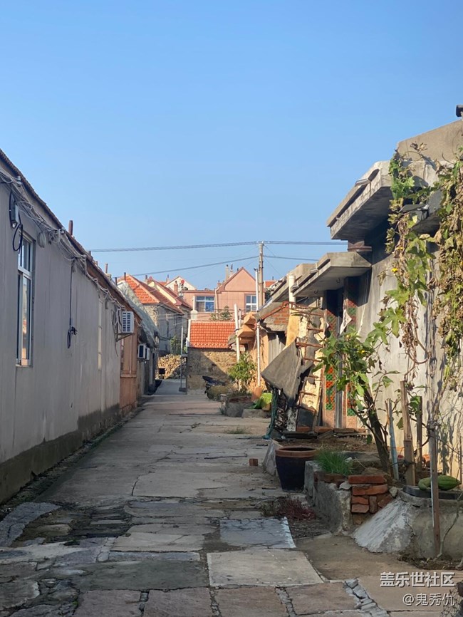 【初冬之美】靜謐